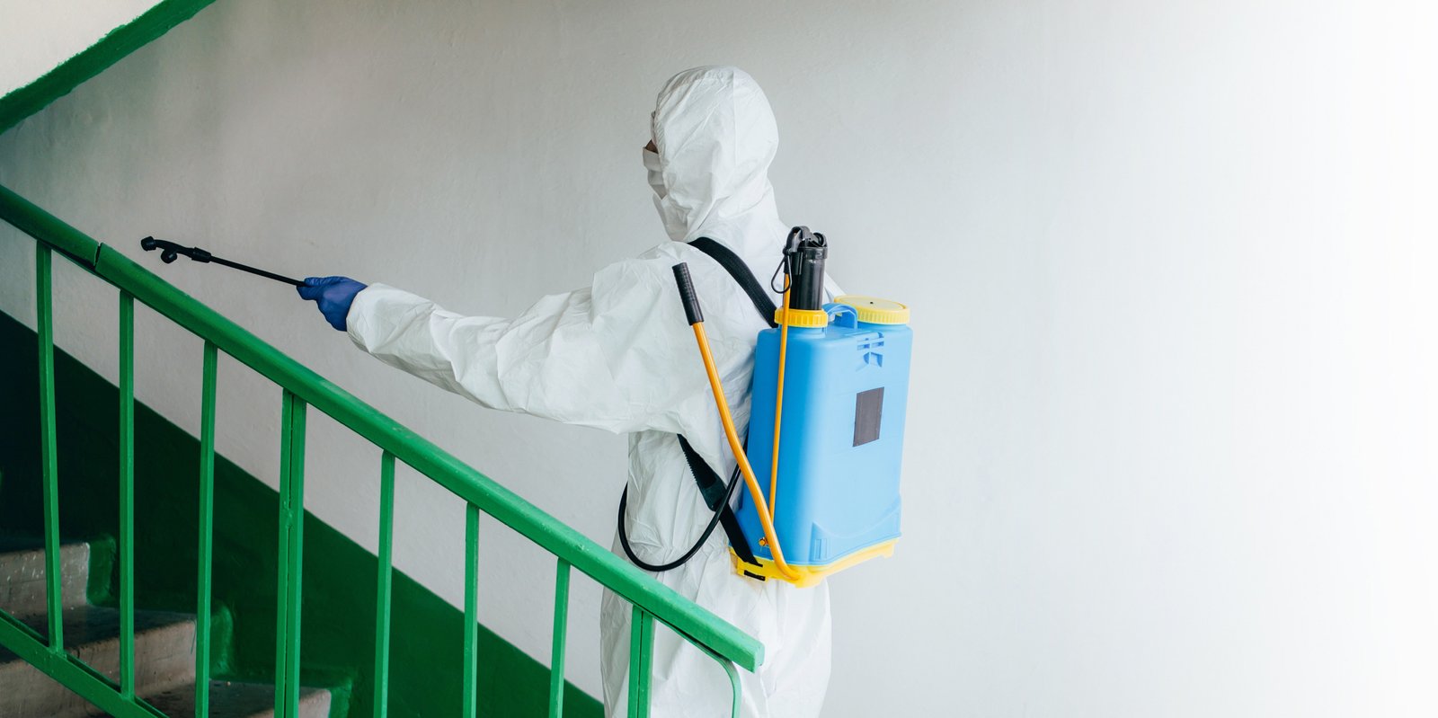 Mosquito Treatment Image